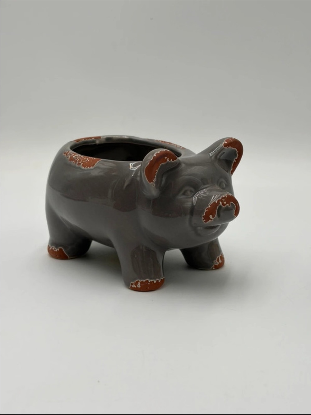 Rustic Ceramic Gray Pig Succulent
Planter